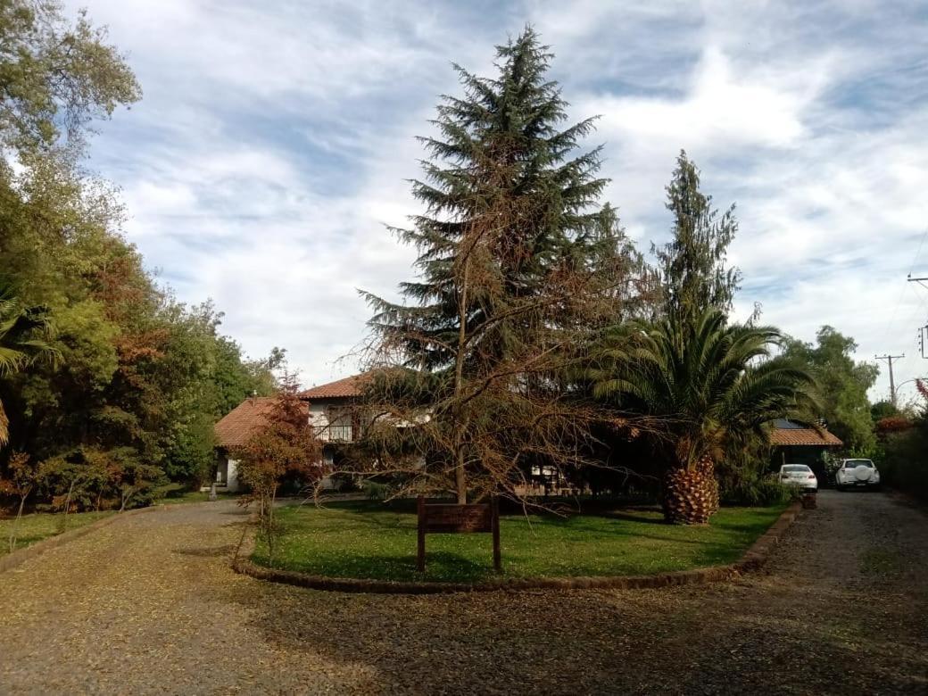 Hotel Pulku Curico Exterior photo